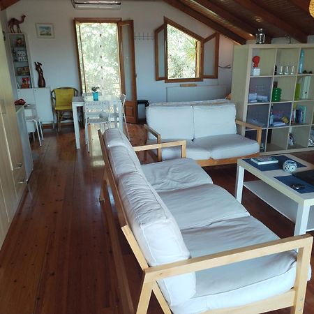 Nikos Loft Olympia Apartment Kato Figalia Екстериор снимка